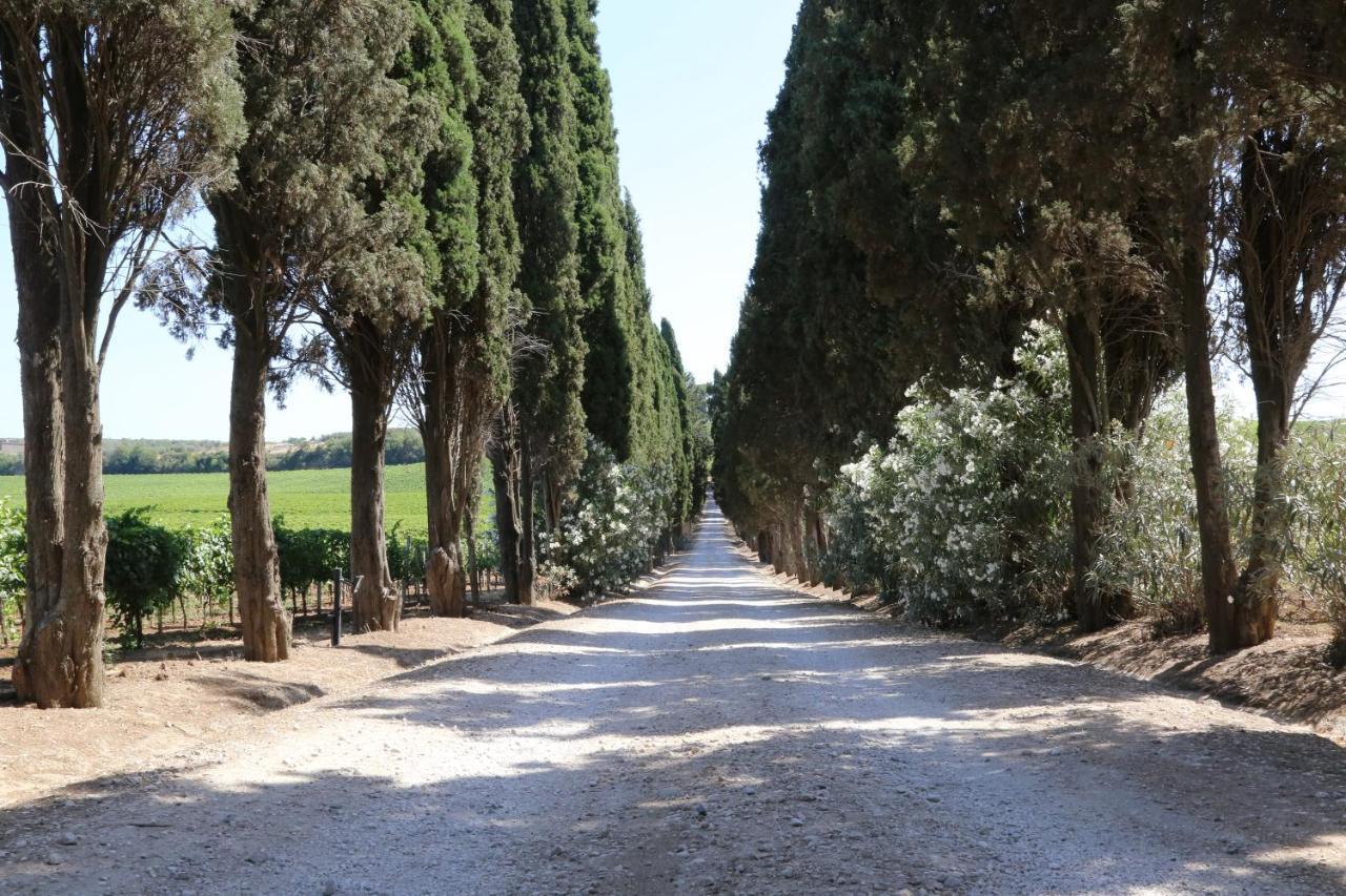 Tenuta Di Pietra Porzia Monte Porzio Catone Экстерьер фото