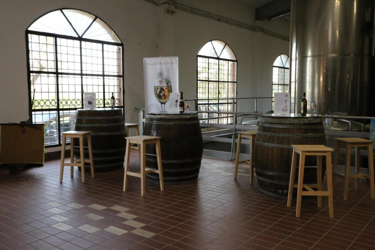 Tenuta Di Pietra Porzia Monte Porzio Catone Экстерьер фото